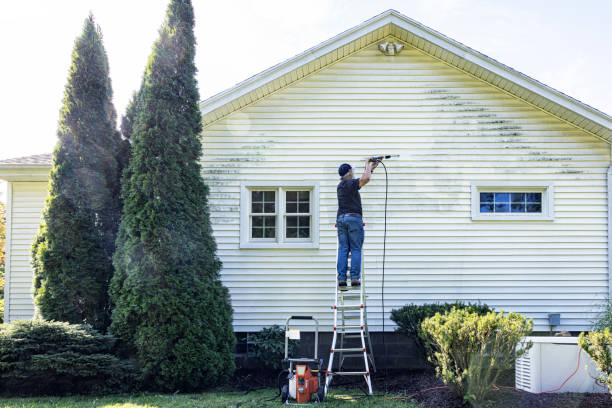 Best Residential Pressure Washing Services  in Minerva Park, OH